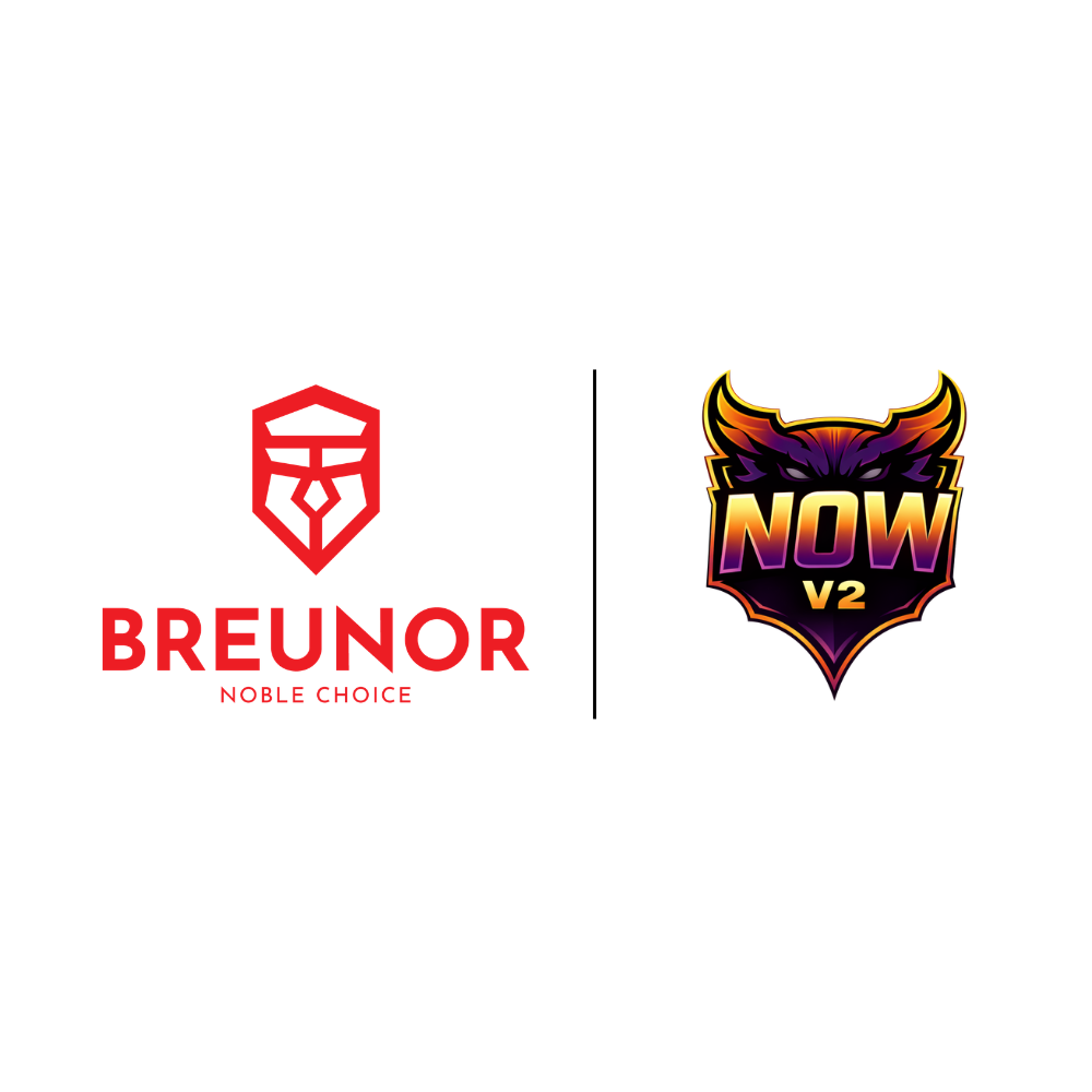 BREUNOR MOMO - PC de jeu Intel i5 12400F, RTX 5060 8 Go, RAM 32 Go DDr4 3200 MHz, SSD 1000 Go NVMe, dissipateur thermique tour, Windows 11 PRO
