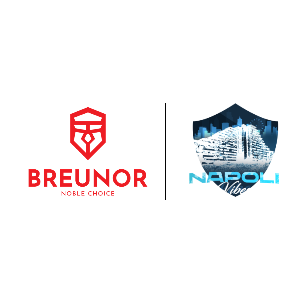 BREUNOR VIBES - PC Gaming RYZEN 5 5600 6 Core fino a 4.40GHz, RTX 5050 8GB, Ram 16Gb , SSD NVMe 1000GB, Windows 11 pro